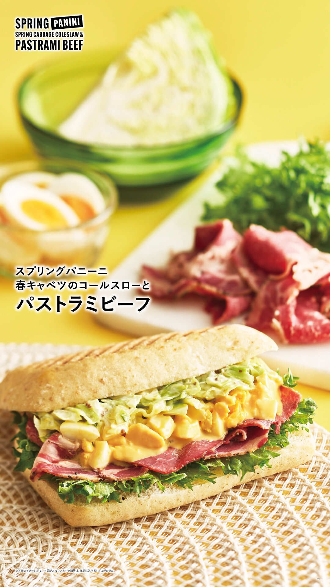 スプリングパニーニ